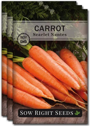 Sow Right Seeds - Semilla de zanahoria Scarlet Nantes para plantar - Paquete de reliquia sin OMG con instrucciones para plantar un huerto casero -