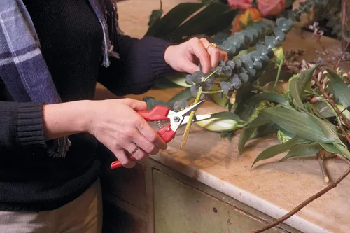 Miniatura 6 de Felco Tijeras de podar (F 6) y (F 310) - Podadoras de jardín con una sola mano de fabricación suiza de alto rendimiento
