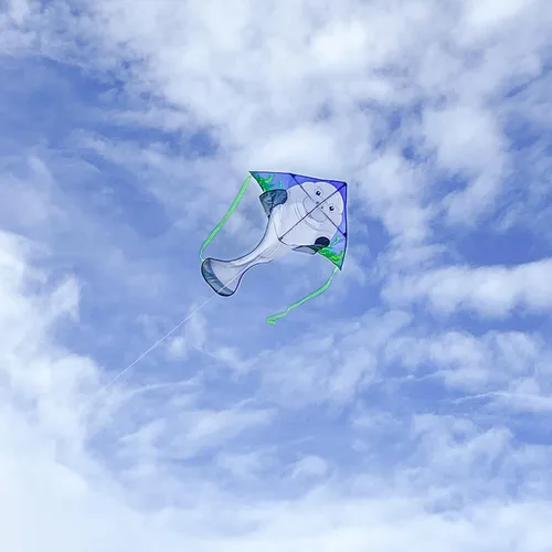 Miniatura 2 de In the Breeze Sea Life Fly-Hi Kite, cometa de una sola línea, tela Ripstop, línea y bolsa incluidas Manatí