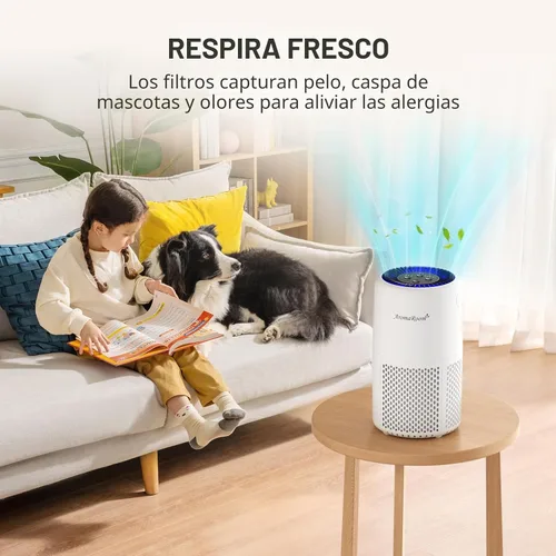 Miniatura 8 de Purificador de aire para el hogar y dormitorio, filtro de aire HEPA AromaRoom H13 para humo, polen, caspa, pelo, olor, limpiador de aire 3 en 1