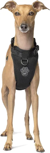 Miniatura 10 de Canada Pooch Arnés para perro Everything sin tirones, arnés fácil de caminar para perros con exterior de malla transpirable, arnés ajustable