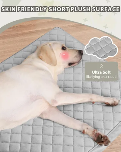 Miniatura 4 de NUPIDA Camas ortopédicas para perros pequeños, impermeables, con funda extraíble lavable y parte inferior antideslizante, cama acolchada para perros