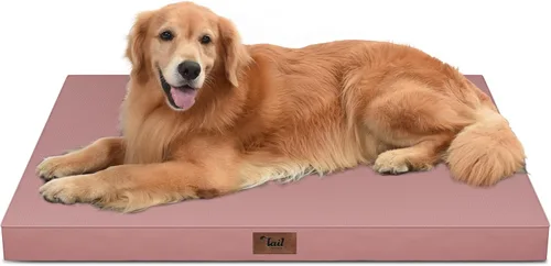 Miniatura 109 de Cama ortopédica de felpa para perros y cachorros medianos, camas impermeables para perros de 30 x 20 pulgadas con funda extraíble lavable, tapete