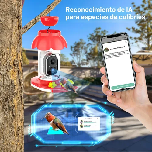 Miniatura 3 de Comedero de colibrí con cámara, comedero inteligente inalámbrico para pájaros para ver video al aire libre, cámara AI con videos de captura