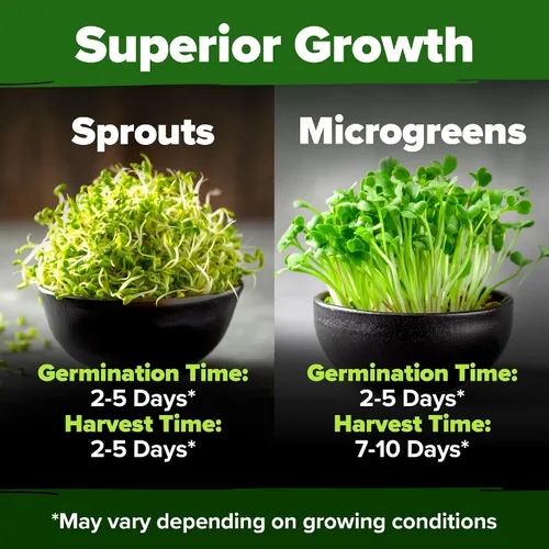 Miniatura 5 de HOME GROWN Semillas de germinación de alfalfa de 8 onzas sin OMG, procedentes de Estados Unidos, de alta germinación, microverdes de rápido