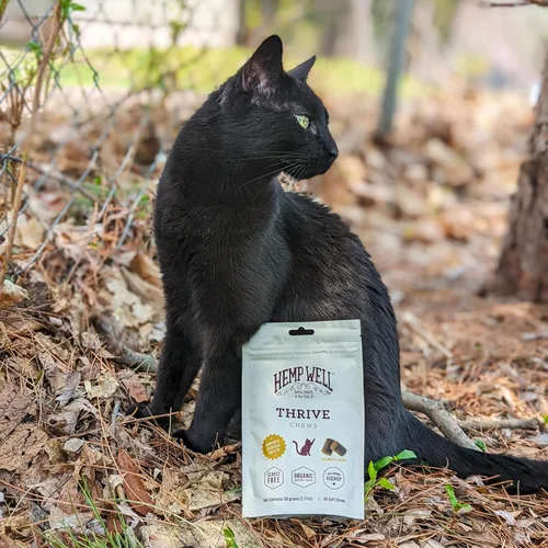 Miniatura 7 de Hemp Well Thrive Cat Soft Chews - 60 unidades, suplemento diario para la salud general, apoya la cadera, las articulaciones, la salud del corazón
