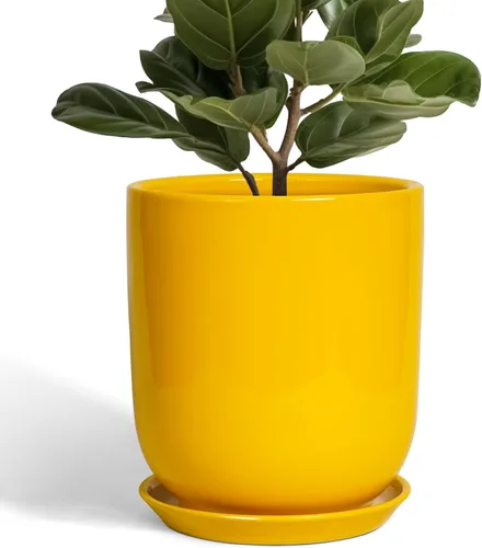 Miniatura 63 de Maceta de Cerámica para Plantas de Interior de 5 Pulgadas - Maceta Redonda para Plantas Suculentas con Agujero de Drenaje y Platillo, Decoración