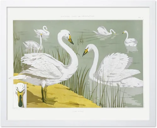Miniatura 27 de Poster Master Vintage James Audubon Póster - Impresión Retro de Cuervo - Arte de Aves de América - Arte de Aves - Regalo para Hombres, Mujeres