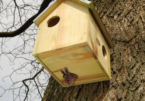 Miniatura 2 de Esschert Design USA WA10 Casa de madera para ardillas