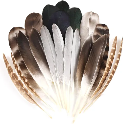 MAOFENG 20 plumas naturales de faisán, 5 estilos de 5 a 9 pulgadas, 5.1-9.1 in para manualidades, boda, hogar, fiesta, sombrero, arreglos florales,