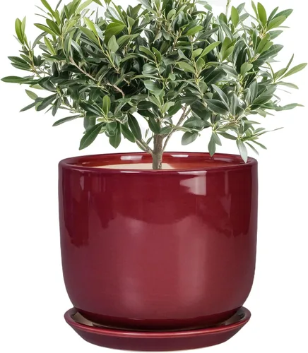 Miniatura 46 de Maceta de Cerámica para Plantas de Interior de 5 Pulgadas - Maceta Redonda para Plantas Suculentas con Agujero de Drenaje y Platillo, Decoración