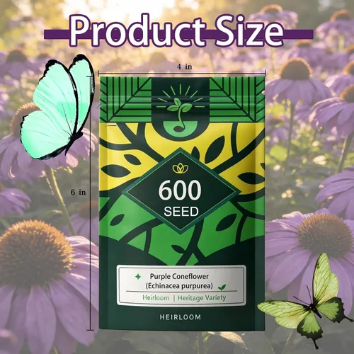 Miniatura 7 de Semillas de equinácea púrpura (Echinacea purpurea), perenne nativa resistente, paquete de 600 semillas