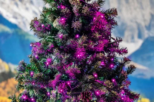 Miniatura 5 de Novelty Lights Guirnalda de luces navideñas de 11 pies, 50 bombillas LED rosas en cable negro, espacio de 2.5 pulgadas, iluminación conectable