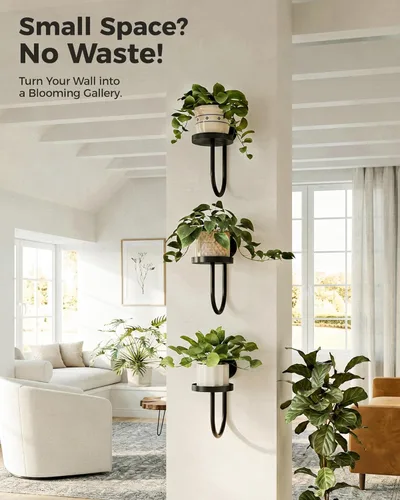 Miniatura 4 de Bamworld Macetas colgantes para plantas de interior, soporte para plantas de pared, colgador de plantas, macetas de pared para interiores, estantes