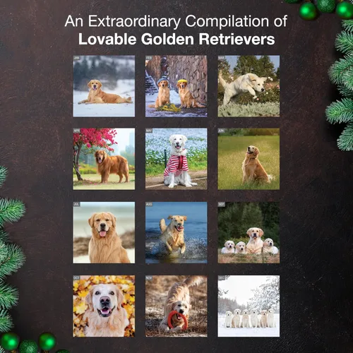 Miniatura 3 de MICASA PRESS Golden Retrievers 2026 - Calendario de pared de 12 meses, 12 x 24 pulgadas, abierto, papel grueso y resistente, para regalo, lindo