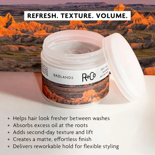 Miniatura 2 de R+Co Badlands Dry Shampoo Paste Part Dry Shampoo, Part Styling Paste Adds Texture, Absorbs Oil, Matte Finish