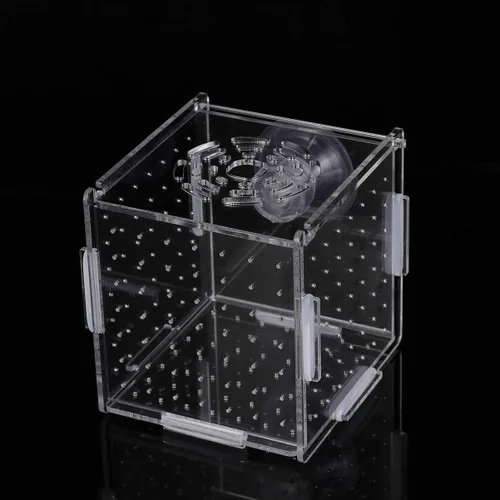 Miniatura 6 de Caja de cría de peces, caja de incubadora de incubadora, cajas de cría de peces de acuario, cajas divisorias para eclosionar, accesorio