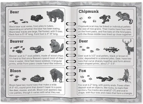 Miniatura 4 de Masterpieces Jr Ranger Poop Tracks, juego de cartas para edades de 6 años, 2-6 jugadores, mediano
