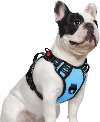 Miniatura 17 de rabbitgoo Arnés para perro de tamaño pequeño, arnés para mascotas sin tirones con mango acolchado suave, chaleco reflectante ajustable con 3