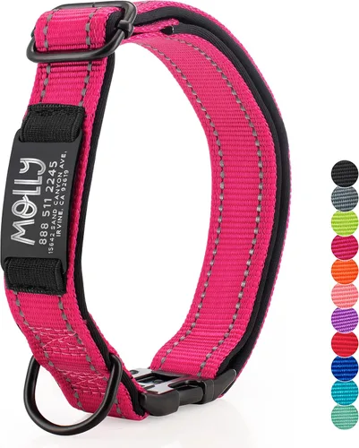 Miniatura 10 de ACTUALIZADO - Collares de perro personalizados y placa de identificación grabada, collar de perro de nailon reflectante, personalizable en 11