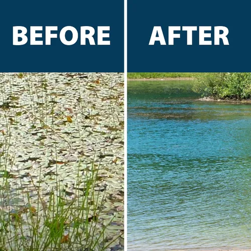 Miniatura 6 de Airmax Ultra Pondweed Defense - Mata malezas acuáticas y plantas, fácil aplicación en aerosol para limpiar y limpiar agua de estanque grande y lago