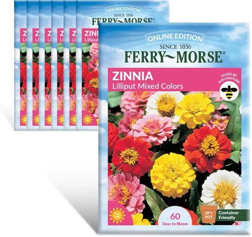 Miniatura 10 de Ferry-Morse Online Edition Tomato Supersweet 100 semillas híbridas – Alta tasa de germinación, sin OGM – Paquete de 8 Tomato Supersweet 100 Hybrid