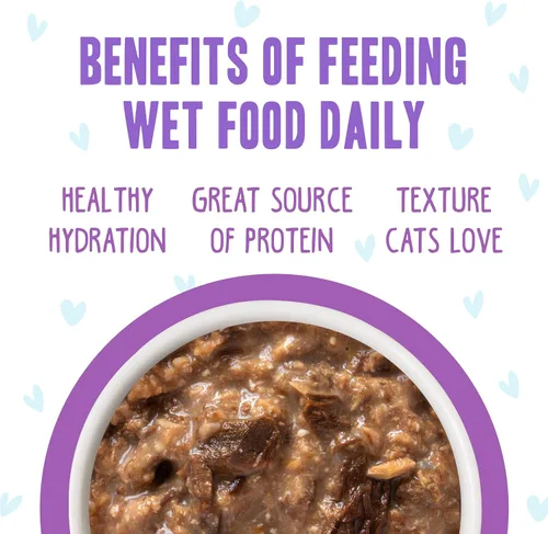 Miniatura 5 de Weruva B.F.F. OMG - Best Feline Friend Oh My Gravy!, Booya! - Alimento para gatos con carne de res y pollo en salsa, bolsa de 2.8 onzas