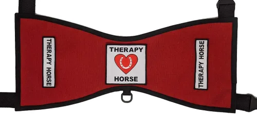 Miniatura 3 de Chaleco terapéutico para caballo #1 – Deluxe (tamaño 1 (altura 18"-24" en cruz) W, negro)