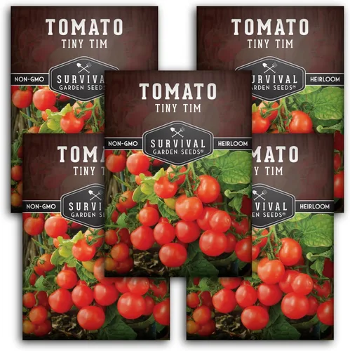 Survival Garden Seeds - Semillas de tomate Tiny Tim para plantar - 5 paquetes con instrucciones para cultivar en tu huerto casero - Variedad de