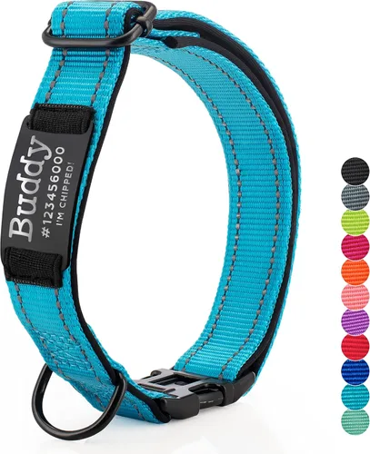 Miniatura 18 de ACTUALIZADO - Collares de perro personalizados y placa de identificación grabada, collar de perro de nailon reflectante, personalizable en 11