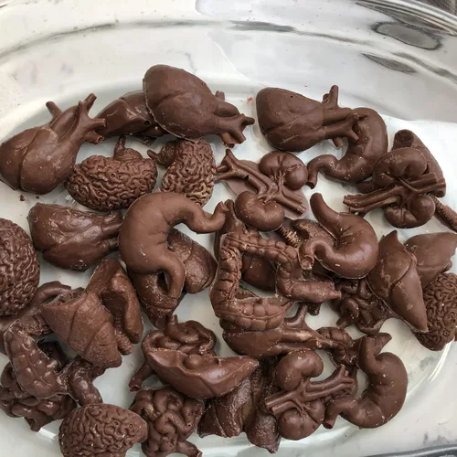 Miniatura 6 de Moldes de silicona con forma de órganos humanos, 8 unidades, molde de silicona para cerebro y corazón, para hígado, pulmón intestinal, chocolate