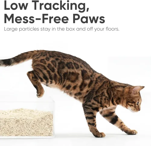Miniatura 6 de FUKUMARU Arena para gatos de tofu – Gránulos de arena de maíz mixtos ligeros naturales, sin polvo, aglutinación rápida, control eficaz de olores