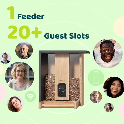 Miniatura 8 de NETVUE by Birdfy - Comedero inteligente para pájaros con cámara, alimentado por energía solar, vapor vivo de 2K y IA Identificación de especies
