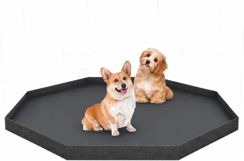 Miniatura 13 de Artmalle Corralito para cachorros, 8 paneles de 24 pulgadas, para interiores y exteriores, de metal, portátil, plegable, para mascotas, animales