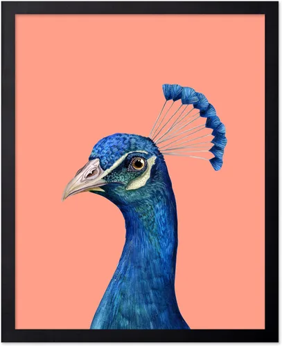 Miniatura 82 de Poster Master Vintage James Audubon Póster - Impresión Retro de Cuervo - Arte de Aves de América - Arte de Aves - Regalo para Hombres, Mujeres