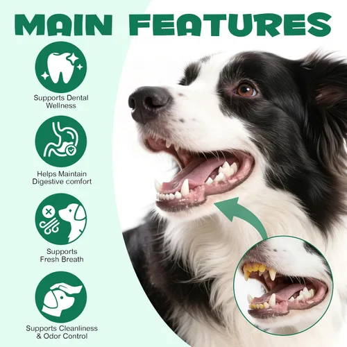 Miniatura 4 de ALIVO Polvo de carbón activado para perros, gatos, suplemento de salud en polvo de carbón activado, apoya el bienestar digestivo y la frescura oral