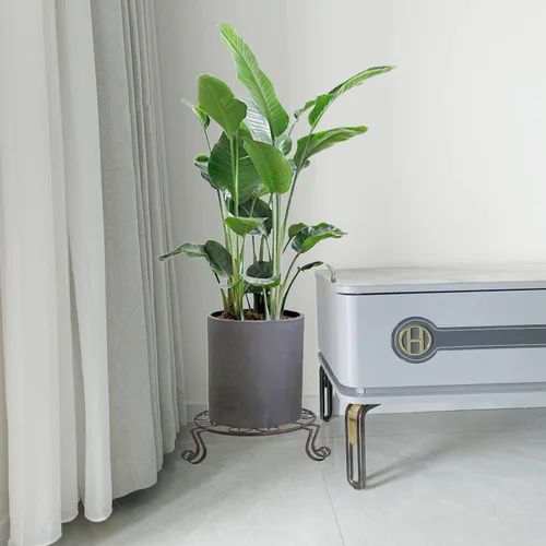 Miniatura 5 de Paquete de 2 soportes para plantas de 12 pulgadas, soportes metálicos resistentes a la corrosión para uso en interiores y exteriores, soportes