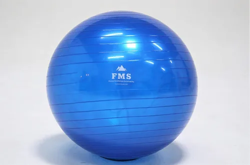 Miniatura 5 de FIM ISU 25.6 in Fitness Stability Ball • Yoga Balance Ball • Ejercicio Entrenamiento Bola INCLUYE Bomba de Pie