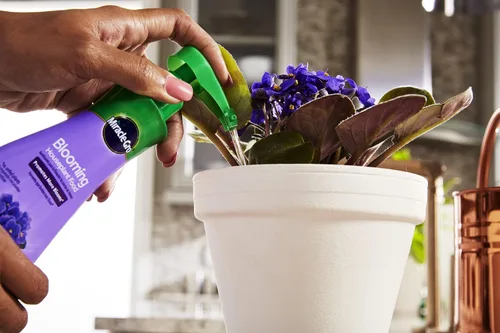 Miniatura 4 de Miracle-Gro Blooming Houseplant Food, fertilizante para plantas, 8 onzas (paquete de 6)