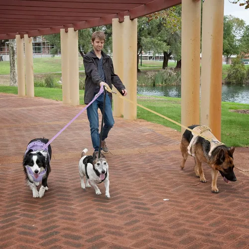 Miniatura 7 de Arnés ligero para perro sin tirones: arnés ajustable y duradero de malla transpirable con cojín suave y cómodo, para perros pequeños, medianos y Lila