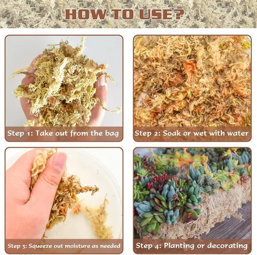 Miniatura 5 de ZeeDix Musgo Sphagnum de 4 cuartos para plantas de interior, musgo de fibra larga seca natural para trasplante de orquídeas, plantas carnívoras