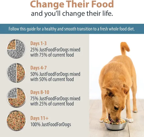 Miniatura 8 de JustFoodForDogs Pantry Fresh Alimento húmedo para perros, comida completa o aderezo, de cordero y arroz integral apta para consumo humano, 12.5