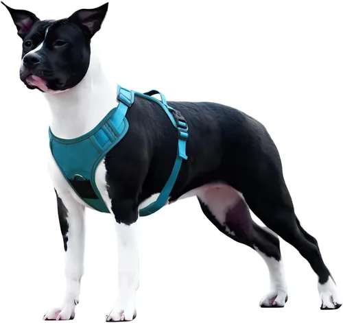 Miniatura 9 de Arnés para perro sin tirones con soporte para Airtag para perros de tamaño mediano, ajustable, a prueba de escapes, sin estrangulamiento y chaleco