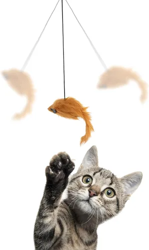 Miniatura 2 de SPOT A-Door-Able - Juguete interactivo para gatos con sonajero colgante y hierba gatera, entretiene a los gatos durante horas, disfruta