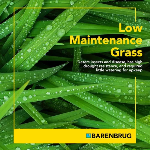 Miniatura 6 de Barenbrug Wonderlawn Landscaper - Mezcla de semillas de césped multiusos de 15 libras, cubre 3,000 pies cuadrados