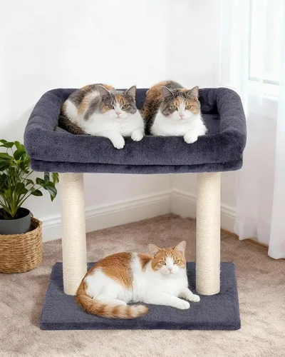 Miniatura 6 de Árbol para gatos KinoTail con gran cama en la plataforma superior (48,3 cm × 40,1 cm), pequeña torre para gatos con rascador para gatos