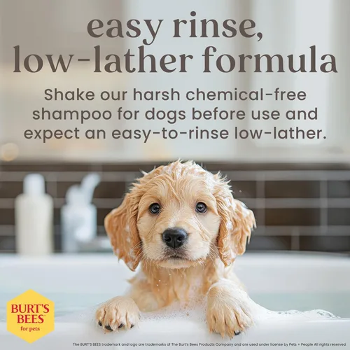 Miniatura 4 de Burt's Bees for Pets Champú para cachorros sin lágrimas con suero de leche y aceite de linaza, champú suave para perros de más de 8 semanas