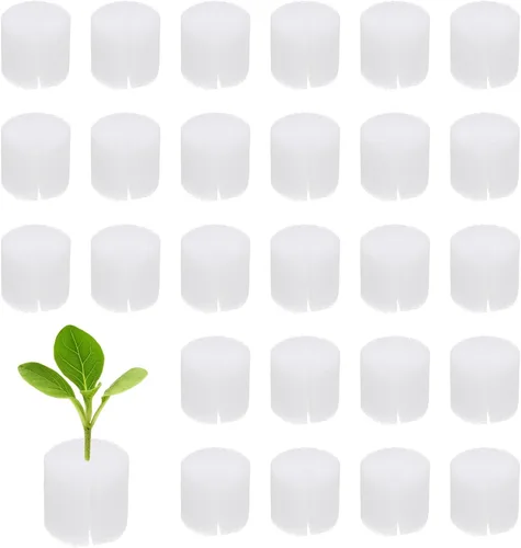 Miniatura 13 de M METERXITY Paquete de 50 esponjas hidropónicas, esponjas cilíndricas de medio de cultivo de 1.97 pulgadas para plantar herramientas de Blanco