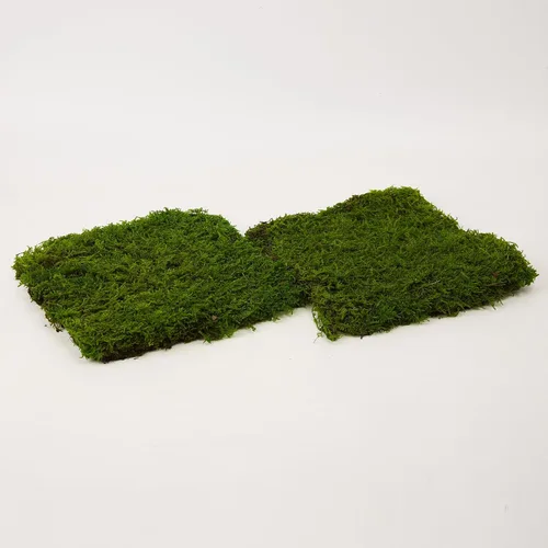 Miniatura 5 de Hoja preservada de musgo verde natural, decorativo, verde natural, kit de bricolaje, arte de jardinería, decoración de pared, decoración de verde - b