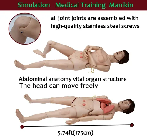 Miniatura 5 de Maniquí de enfermería de trauma, Maniquí médico para el cuidado del paciente para entrenamiento: RCP de 5.74 pies de cuerpo completo con más de 30